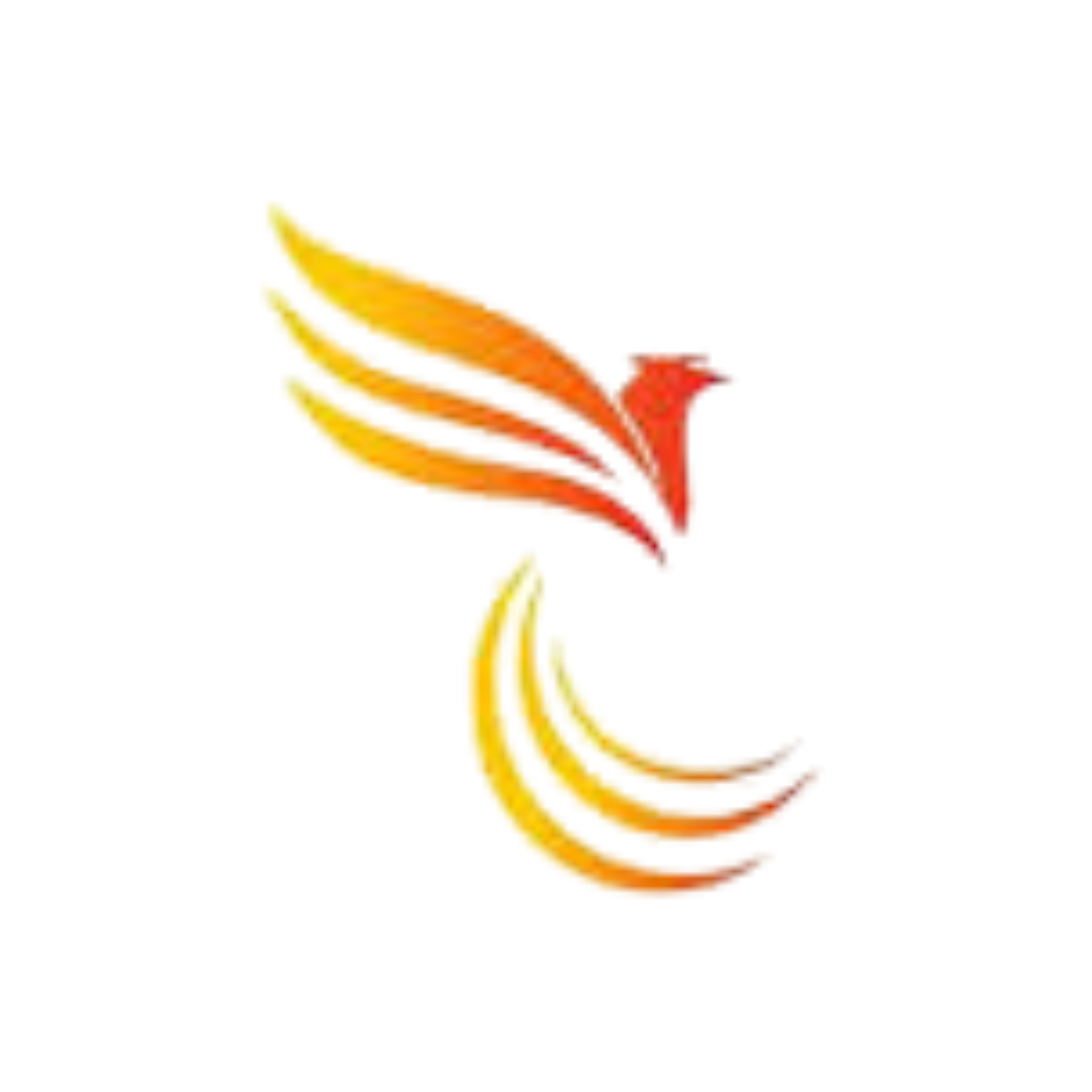 Partnyor 8